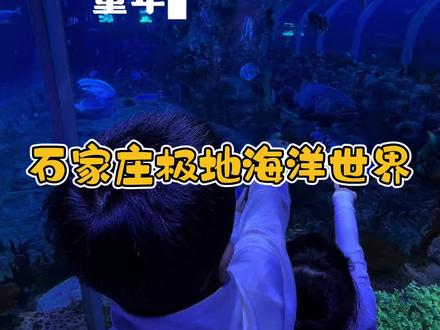 春节不拜年、带娃去旅行#亲子时光 #石家庄极地海洋世界 #春节假期的生活vlog #现在出发直达海底隧道#石家庄极地海洋世界