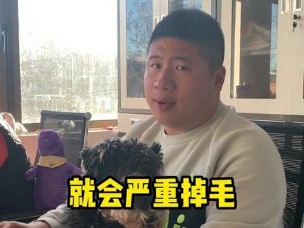 哪些狗冬天需要穿衣服?#宠物训练 #狗 #狗狗 #宠物