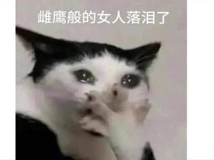 这个镜头神了#王嘉尔 #张杰 #抽象 #氛围感