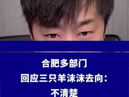 合肥多部门回应三只羊沫沫去向:不清楚 #合肥