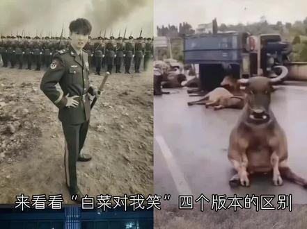 来看看“白菜对我笑”四个版本的区别,你更喜欢哪个呢#春节气氛组已就位 #白菜对我笑 #抖音精选@抖音热点