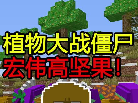 #我的世界 植物大战僵尸,雄伟高建国!高坚果?