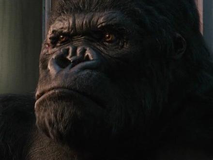 《金刚》 第11集#电影 #美女与野兽