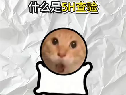 什么是5H查验?
#美区物流 #科普 #跨境知识分享