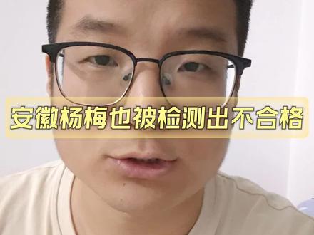 安徽杨梅也被检测出不合格 #杨梅 #安徽杨梅