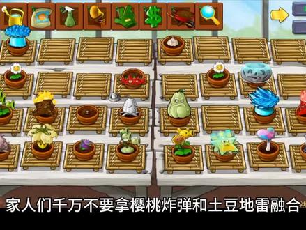 千万不要拿樱桃炸弹和土豆地雷融合 #植物大战僵尸融合版