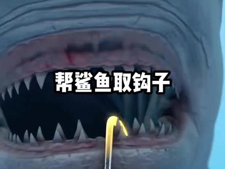 男子帮助鲨鱼取鱼钩! #涨知识