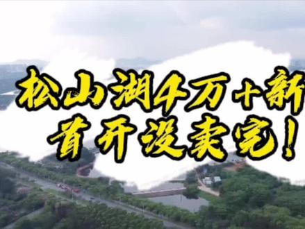 松山湖4万+带装修的新盘,首批房源没卖光,有钱人都收手啦?#松山湖 #网红楼盘