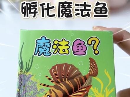 孵化魔法鱼!离谱!#开箱 #魔法鱼