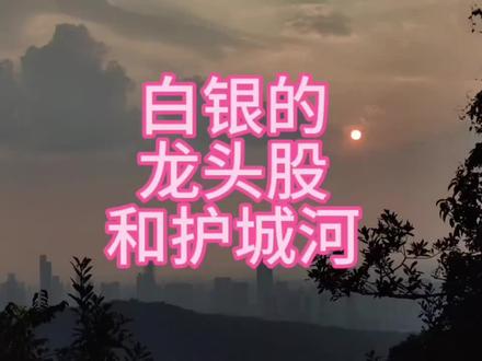 白银的龙头股和护城河解析 #有色金属 #历史新高 #期货#贵金属 #白银