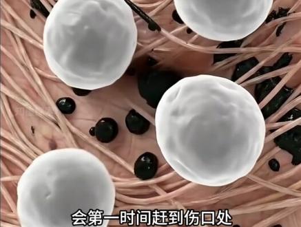 这就是为什么纹身永远洗不掉的原因 #科普