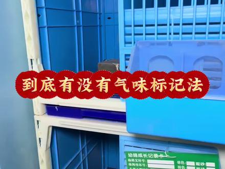学海无涯解锁新知识#养鸽知识讲解 #新手养鸽 #赛鸽认巢气味标记法 #乘风贰零旦鸽业