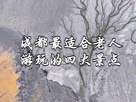 成都最适合老人游玩的四大景点 #成都老年旅游 #成都景点推荐 #老年人游玩攻略 #成都休闲游 #Ai游成都 #旅#游寻找中国最美城市游景点