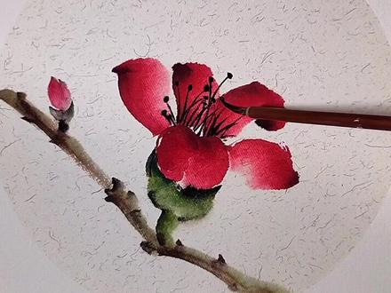 木棉花的春天,第一笔像不像爱心#国画 @DOU+小助手