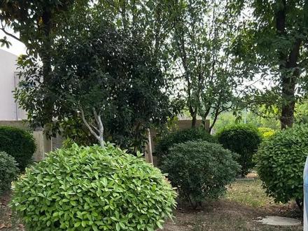 中高考临近,埇桥公安温馨提醒:请各位中高考学子及时办理身份证、查看身份证有无过期、破损。即日起,埇桥公安为中高考学子开通办证绿色通道,优先受理、优先制证。