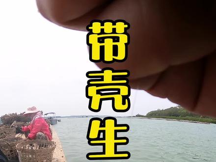 带壳生蚝钓法#抖音小助手 #海筏 #所有人 #海钓