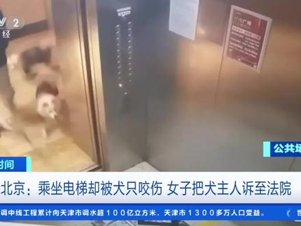 你家狗儿子管好了吗?人狗情的结局#新闻现场