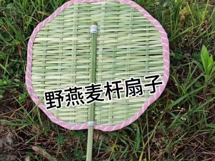 我用地头的野燕麦杆编了一把扇子,今年夏天有扇子用了哦#手工制作 #非遗#大自然的馈赠#野燕麦 #扇子