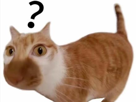 宝宝 ,你一定会和我续火花的对吧!
真的超简单!!
#续火花#续火花日常 #火花搭子#jagat99天续火花挑战#jagat果汁