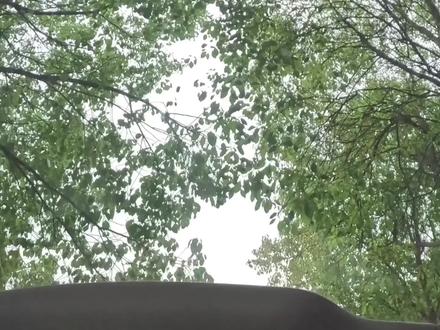 沉浸式体验特斯拉小树林午休模式!带床上班走哪睡哪!#特斯拉大床房 #特斯拉露营模式 #焕新版modely #沉浸式体验 #露营