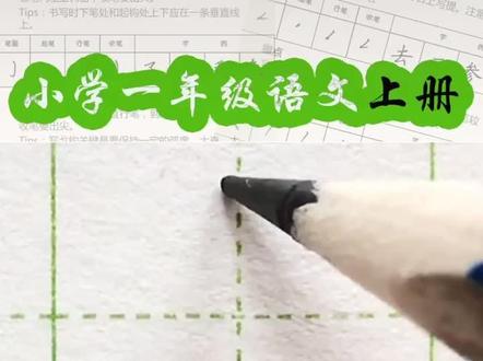 做好中国人,写好中国字。“鸟”字笔顺笔画,田字格写法#写字是一种生活 #规范字书写 #每天坚持练字 #一起学书法 #硬笔教学