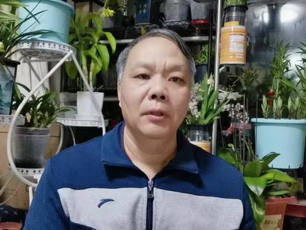 新人误发错发作品咋办?教你两种方法解决 #中视频伙伴计划 #知识分享