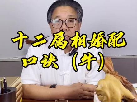 牛的十二属相婚配歌诀#属相#国学@抖音小助手