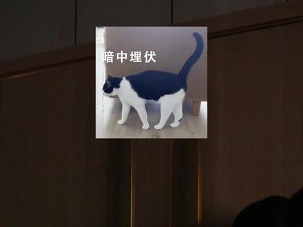 很开心~今天和员工一起过生日!这是我们厂每月一次的员工生日会!希望我们所有人都可以岁岁平安,健康喜乐,生日快乐!#生日快乐 #员工福利 #生日 #苏味轩食品 #源头实力厂家