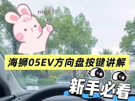 #才不是你眼中的女司机! #比亚迪车主说 #海狮05EV #女生开车 #方向盘