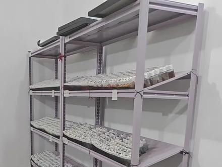 店铺拼豆流程#拼豆 #diy