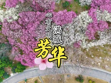 心有文明 满城芳华#文明城市#寻美汉川@孝感日报 @孝感广电 @长江云新闻