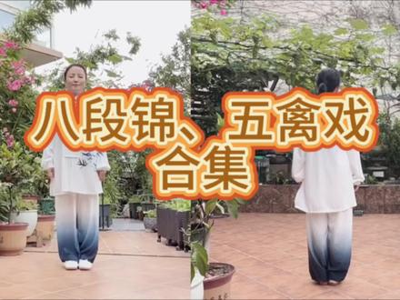 八段锦,五禽戏合集呼吸口令版#锻炼