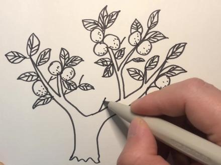 一起来画橘子树吧! #简笔画 #创意简笔画 #幼儿简笔画 #可爱简笔画 #育儿简笔画 #@抖音小助手