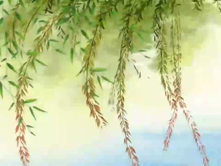 植物的生殖-扦插和压条的相关八年级生物人教版下