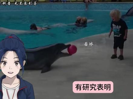 海豚为什么会救落水的人类?#冷知识 #省流