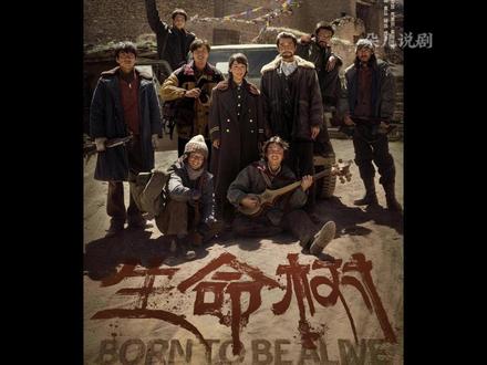 保护区建成,多杰再也没回来 #生命树 #胡歌 #杨紫 #了不起的精讲团 #生命树我将反复看