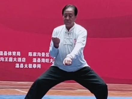 陈式太极拳“四大金刚”朱天才老师#弘扬中华传统武术 #太极拳 #dou出真功夫