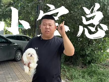 揭秘牛哥的收狗价格#比熊