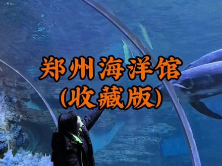 别瞎逛!郑州海洋馆正确打开方式,看完少走弯路 📍地址:金水区国基路86号
⏰时间:09:00-17:00,16:00停止入园
✅路线:1楼水族→海底隧道→8楼极地→自上而下逛完
✅必看:白鲸秀、海豚秀、美人鱼、企鹅岛
✅出片:海底隧道、水母宫、白鲸玻璃、丁达尔光
#郑州海洋馆 #郑州遛娃好去处 #郑州周末去哪玩 #郑州约会圣地 #旅行攻略
