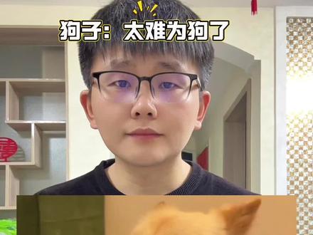 狗子:太难为狗了 #狗子 #万万没想到 #哈哈哈哈哈哈我要笑死了