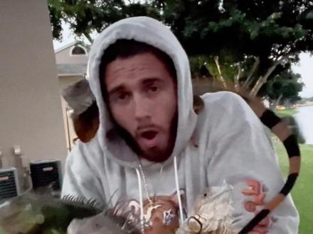 长相吓人,其实吃素,而且粘人 #神奇动物 #绿鬣蜥 #爬宠 #动物科普 #动物的迷惑行为