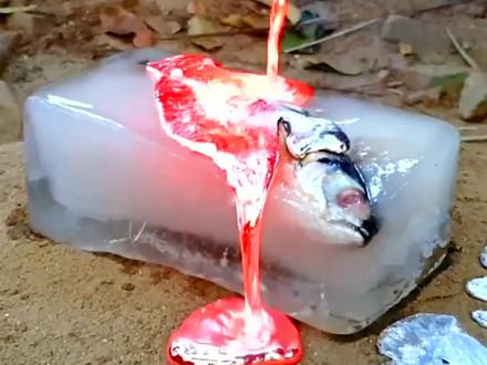 冻僵的鱼放入水中,竟奇迹般“复活”,这是什么原理?