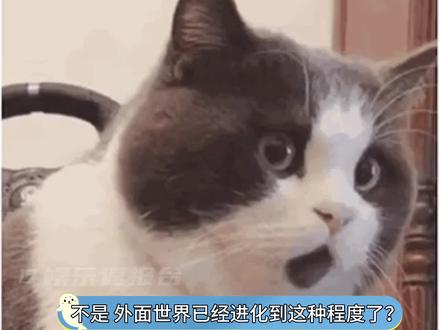 杭州是不是有什么考前焦虑啊??#杭州 #杭州亚运会 #科技 #帅哥 #美女 #娱乐评论大赏