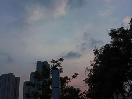 余邃能接受自己被季岩寒当做商品售卖,但眼睁睁的看着时洛周折各地,余邃会疯。
余邃尽力用浅显的话说了个大概,再次保证,“我没十足把握,但只要我没退役,我就不可能再和他们续约,只要两年……”
“求你……别说这句话。”被前事勾起旧恨的时洛彻底崩溃,“我已经等了太久了!以后我一天也不会等,你今天不带我走,那也不用说以后再来找我!”
时洛泪崩,咬牙切齿道,“我听不懂也不想听了!只告诉你一句话,如果你今天敢把我送到NSN,不管两年后你回不回来,我都不可能再找你,你也千万再来联系我,我一辈子不可能跟你再同队!”
时洛原以为余邃肯定会心软的。
自己大早上闹他要起床吃早饭,他会同意,自己听他打电话,他会同意,自己翻他的手机看隐私,他都同意,这么心软的一个人,怎么会忍心再把自己丢下?
可Whisper的温柔有限,他这次就是把时洛留下了#fog电竞 #小说