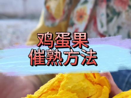 如何让鸡蛋果,吃出沉浸式的感觉!这些催熟方法你学会了吗? #鸡蛋果 #蛋黄果 #百香果 #鸡蛋果催熟 #蛋黄果催熟