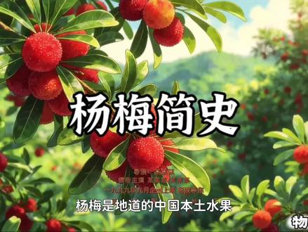 杨梅简史#水果发展史 #杨梅 #水果 #科普 #杨梅简介