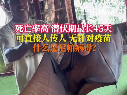 死亡率高,可直接人传人,尚无针对疫苗,潜伏期最长达45天,#什么是尼帕病毒? #印度暴发尼帕病毒疫情
