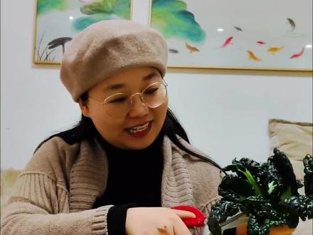 我本一介书生,喜欢田园美食,带你一起来品尝随州特产的美味: 泡泡青、香菇、三黄鸡。在这个冬天,暖了胃也暖了心。#晒出你的家乡特产 #抖音新农人 #新农人计划2025 #农村美食