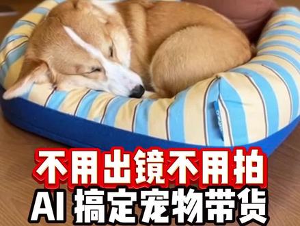 不用出镜不用拍,AI搞定宠物带货!
#电商 #电商创业 #AI生成 #宠物 #宠物用品