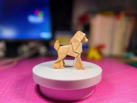 西川诚司贵宾犬折纸教程,推荐二十厘米纸折叠。#折纸 #手工 #贵宾犬 #折纸教程 #亲子手工